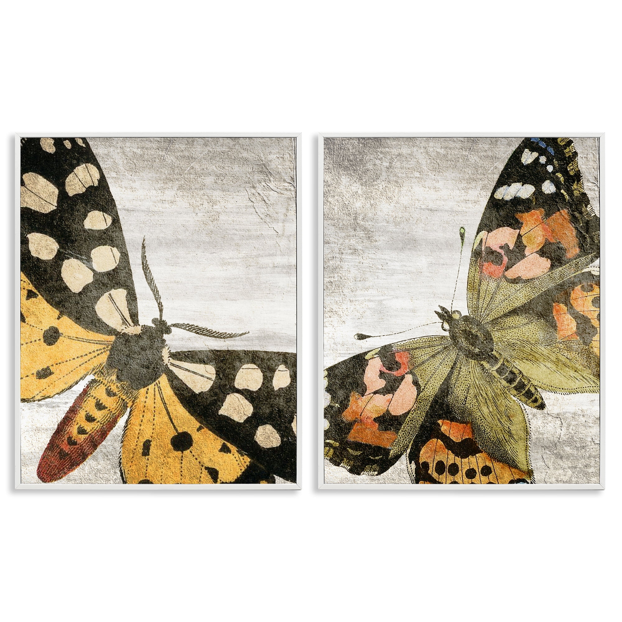 Stupell Industries Vintage Spotted butterflies Animals Painting White Framed Art Print Wall Art, 11 x 14, Set of 2