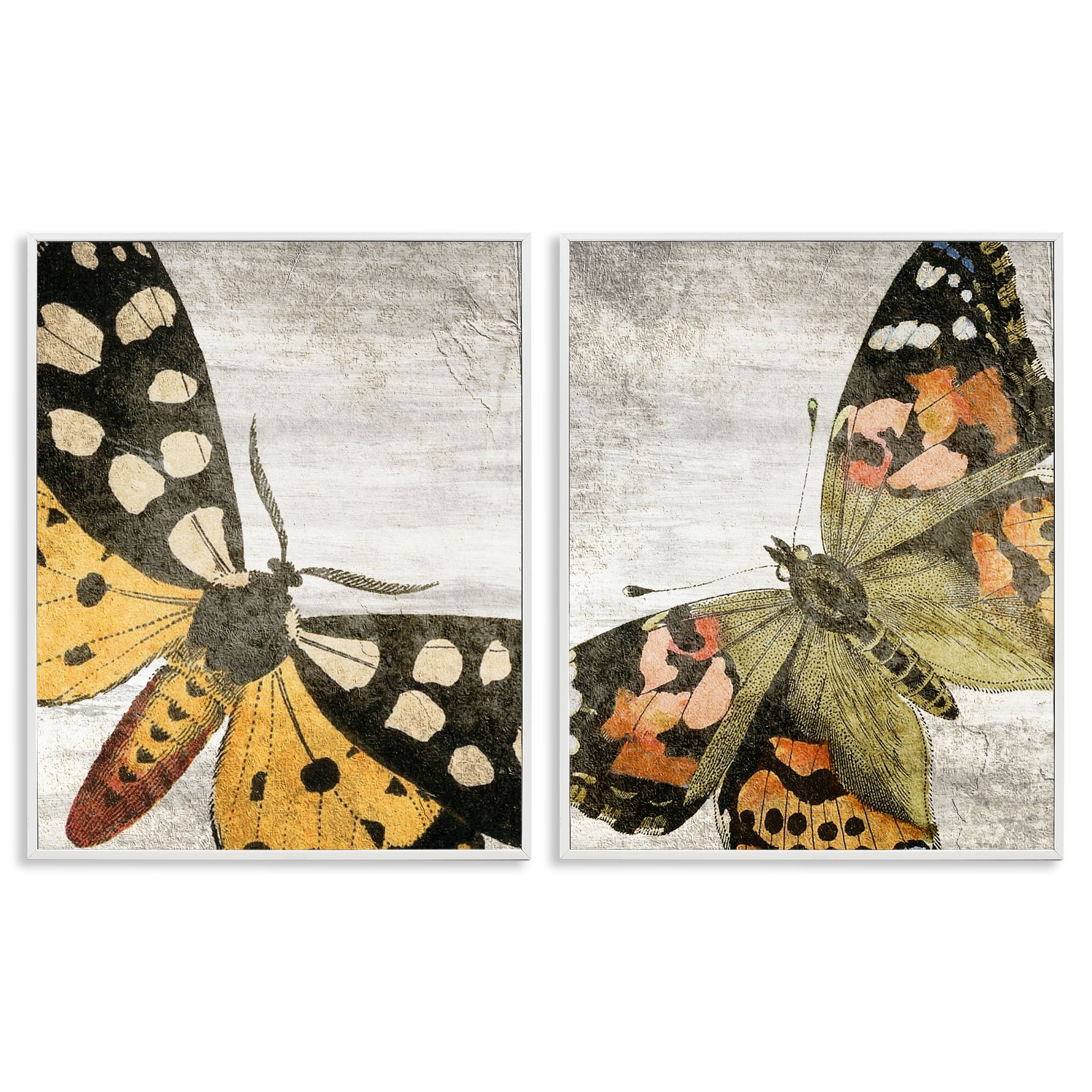 Stupell Industries Vintage Spotted butterflies Animals Painting White Framed Art Print Wall Art, 24 x 30, Set of 2