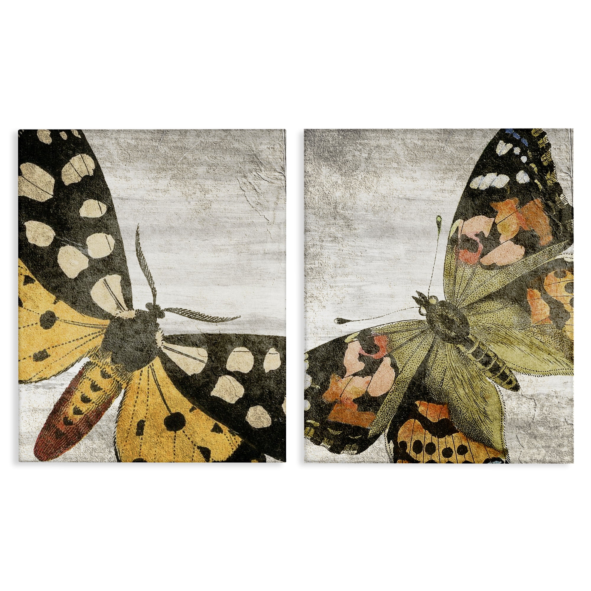Stupell Industries Vintage Spotted butterflies Animals Painting Wrapped Canvas Art Print Wall Art, 16 x 20, Set of 2