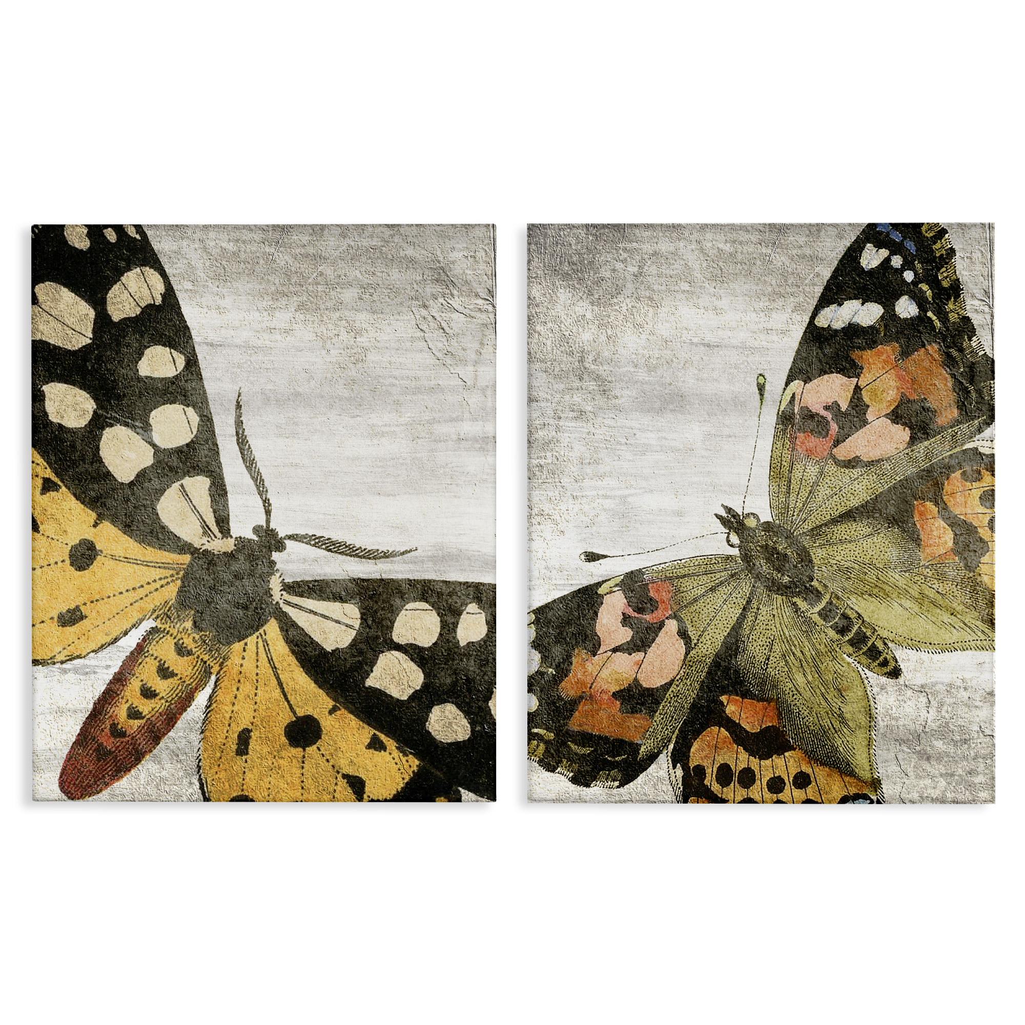 Stupell Industries Vintage Spotted butterflies Animals Painting Wrapped Canvas Art Print Wall Art, 24 x 30, Set of 2