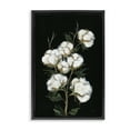 thumbnail image 1 of Stupell Industries Vintage Stems of Cotton Plants & Flowers Painting Black Floater Framed Canvas Art Print Wall Art, 17 x 25, 1 of 10