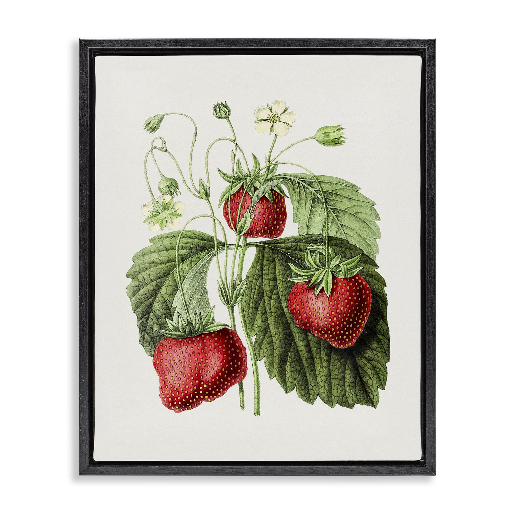 Stupell Industries Vintage Strawberries Study Food & Beverage Painting Black Floater Framed Art Print Wall Art, 17 x 21