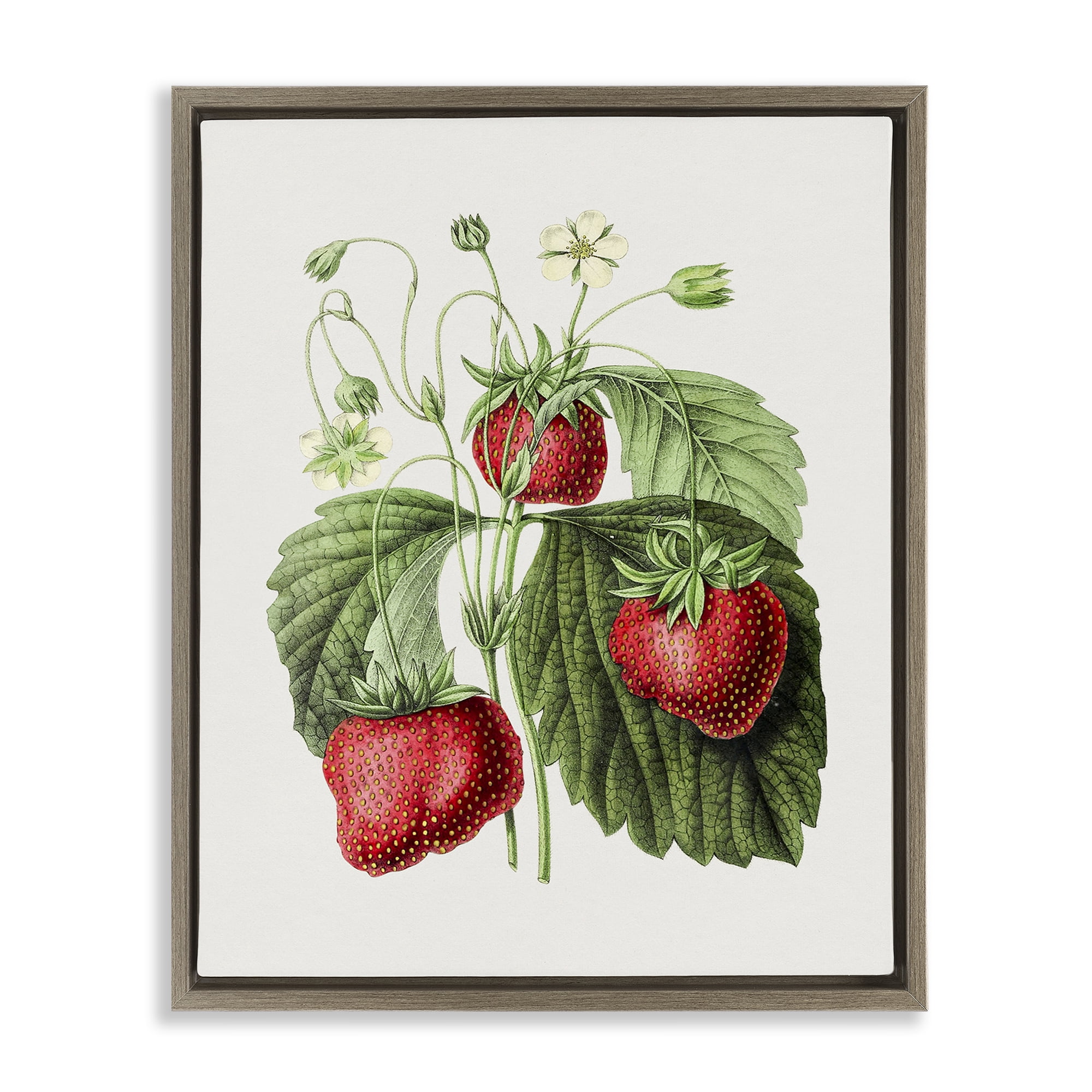 Stupell Industries Vintage Strawberries Study Food & Beverage Painting Brown Floater Framed Art Print Wall Art, 17 x 21