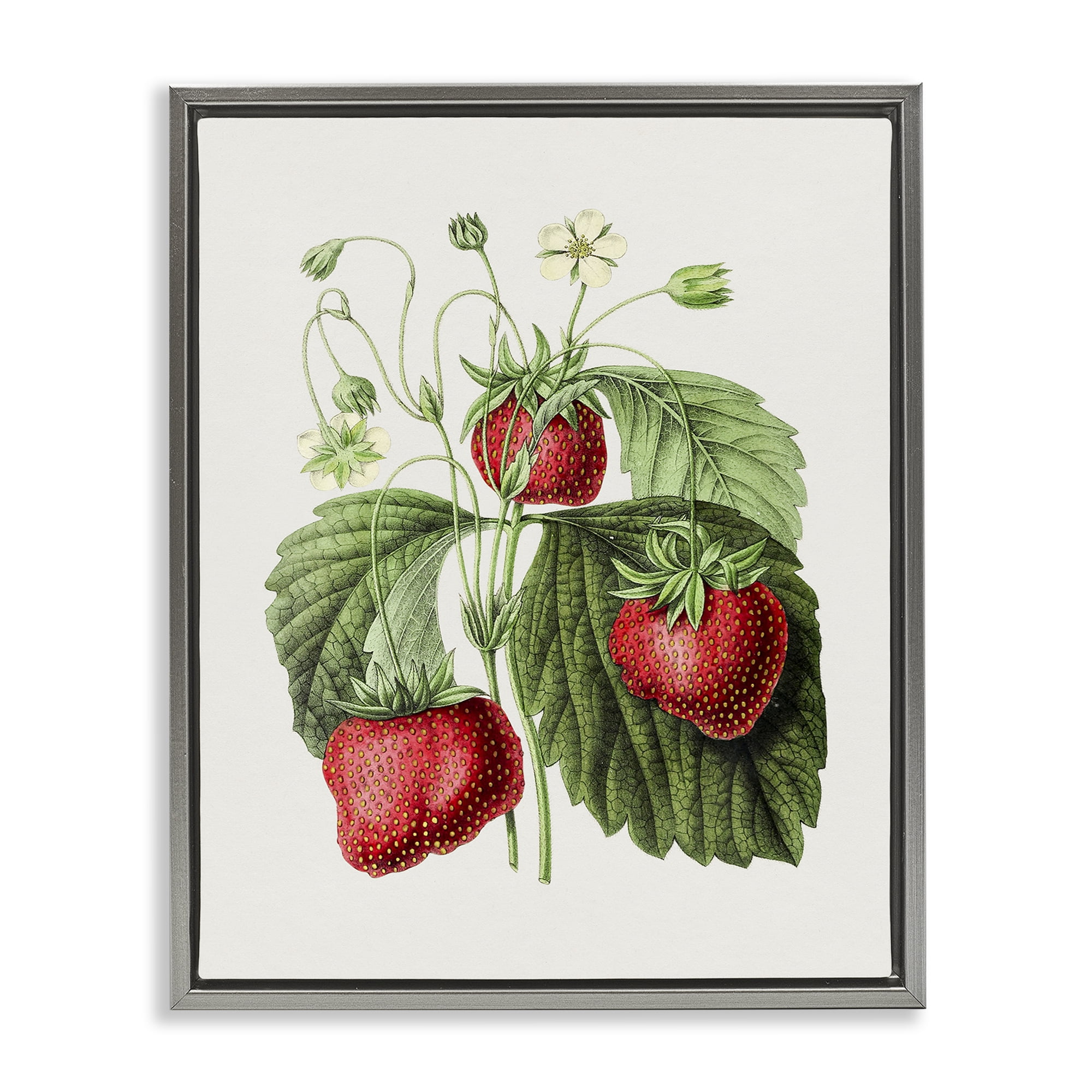 Stupell Industries Vintage Strawberries Study Food & Beverage Painting Gray Floater Framed Art Print Wall Art, 25 x 31