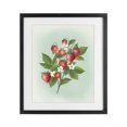thumbnail image 1 of Stupell Industries Traditional Vintage Strawberry Bundle Black Framed Print Under Glass, 13 x 16, by Diane Neukirch, 1 of 8
