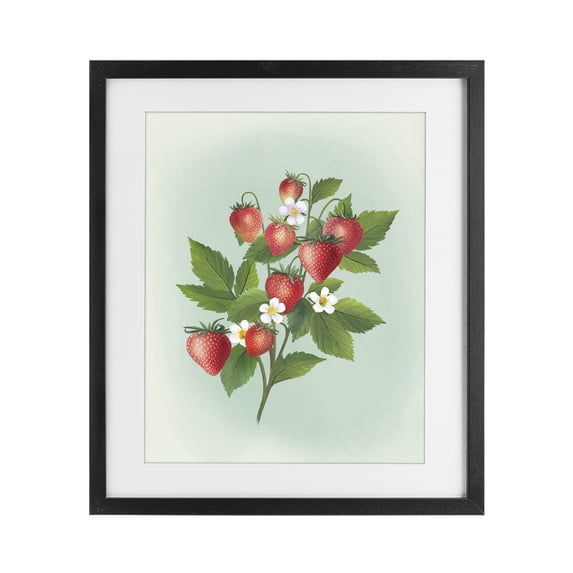 Stupell Industries Traditional Vintage Strawberry Bundle Black Framed Print Under Glass, 13 x 16, by Diane Neukirch
