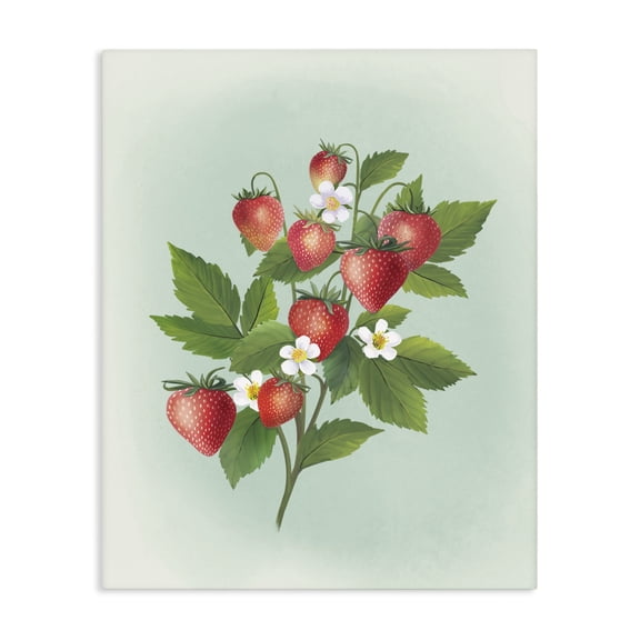 Stupell Industries Vintage Strawberry Bundle Canvas Wall Art, design by Diane Neukirch