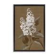 thumbnail image 1 of Stupell Industries Traditional Vintage Striped Lilac Study Black Floating Frame Canvas Art, 21 x 31, by Petals Prints Design, 1 of 8