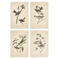 thumbnail image 1 of Stupell Industries Vintage Study Birds & Plants Animals Painting Unframed Art Print Wall Art, 10 x 15, Set of 4, 1 of 8