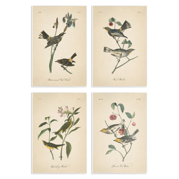 Stupell Industries Vintage Study Birds & Plants Animals Painting Unframed Art Print Wall Art, 10 x 15, Set of 4