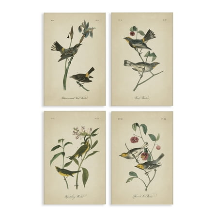 Stupell Industries Vintage Study Birds & Plants Animals Painting Wrapped Canvas Art Print Wall Art, 16 x 24, Set of 4