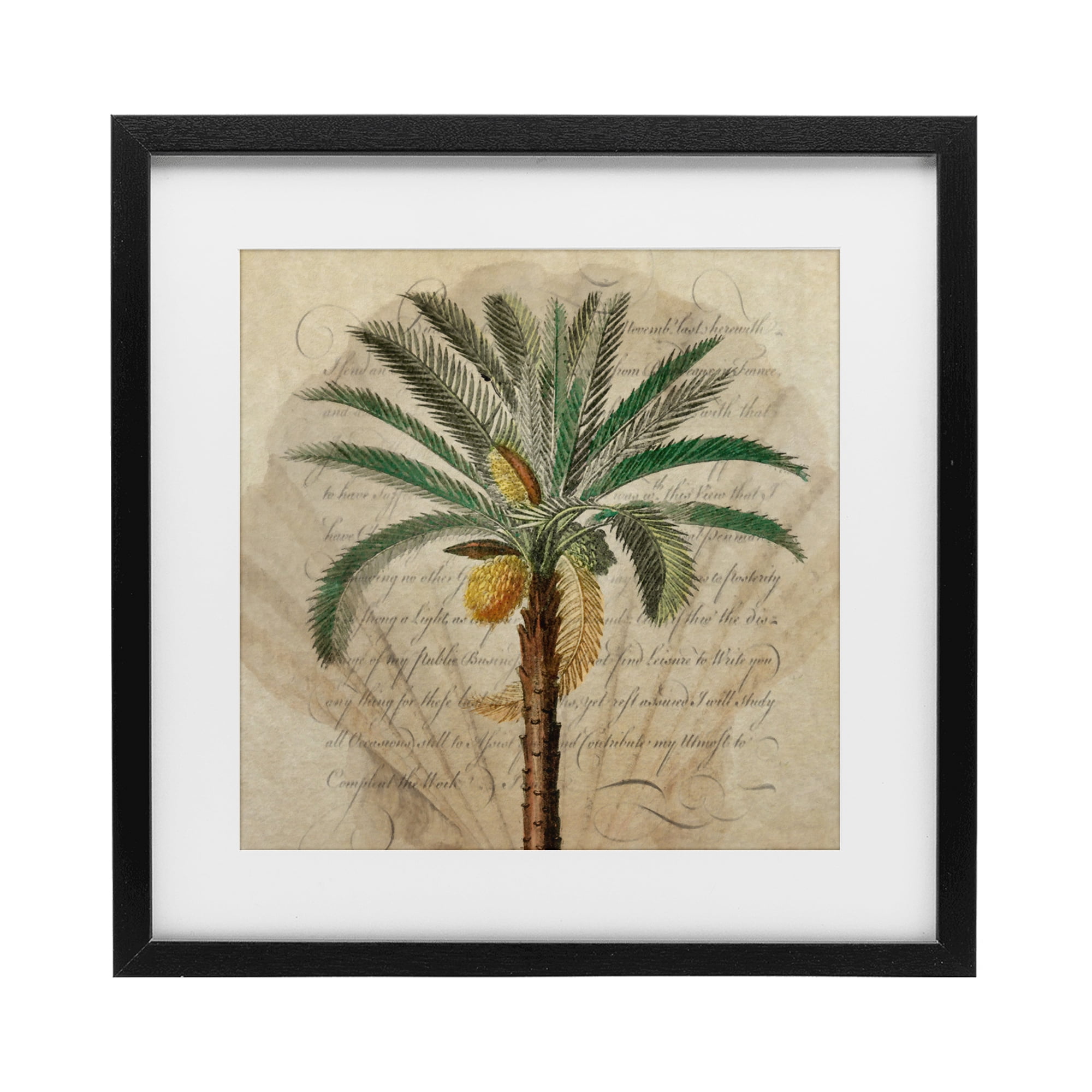 Stupell Industries Vintage Subdued Palm Black Framed Print Under Glass, design by Steve Hunziker