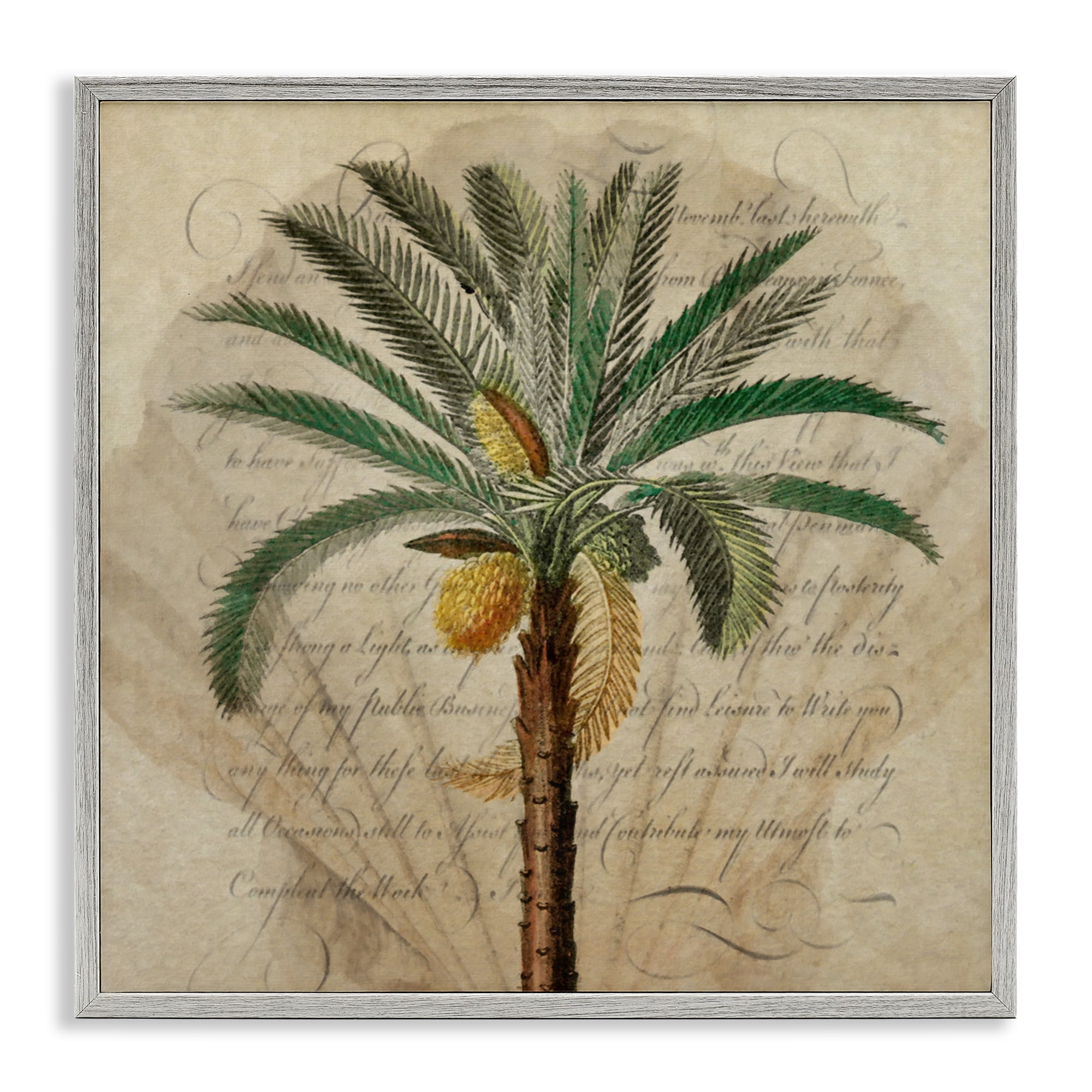 Stupell Industries Vintage Subdued Palm Gray Framed Giclee Art, design by Steve Hunziker