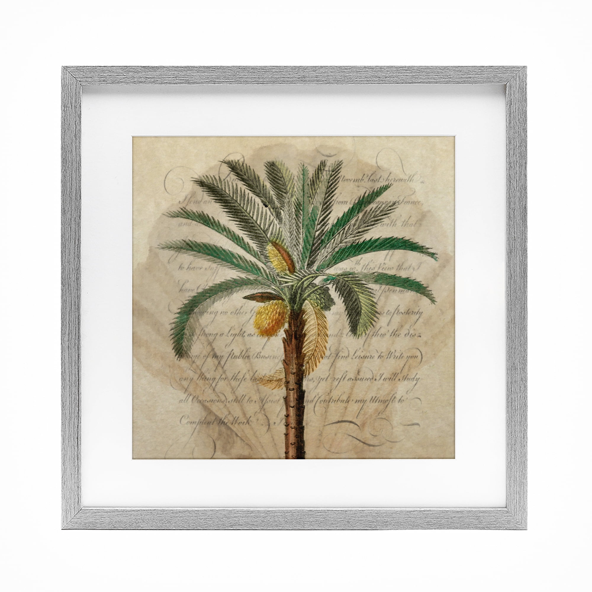 Stupell Industries Vintage Subdued Palm Gray Framed Print Under Glass, design by Steve Hunziker