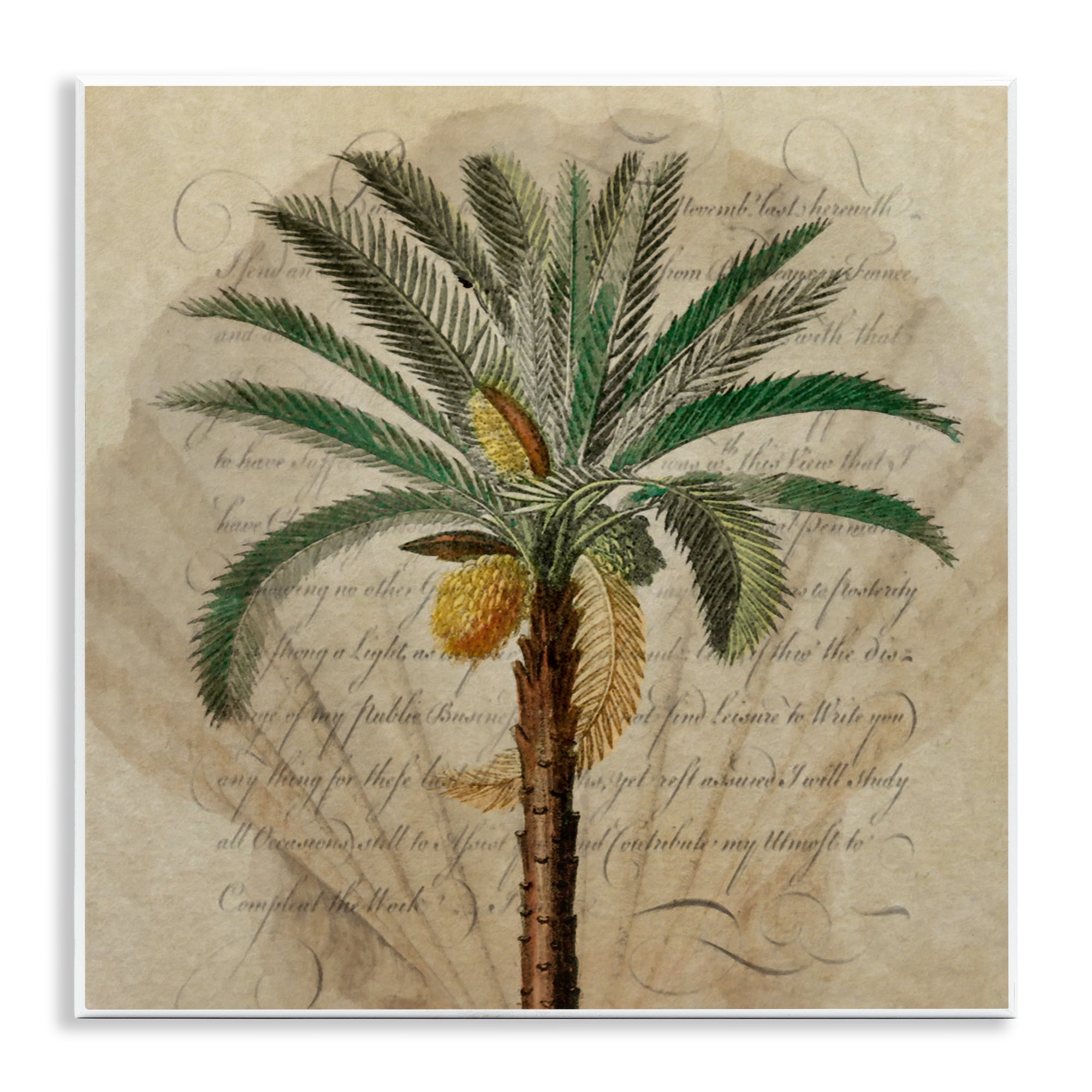Stupell Industries Vintage Subdued Palm Wall Plaque Art, design by Steve Hunziker