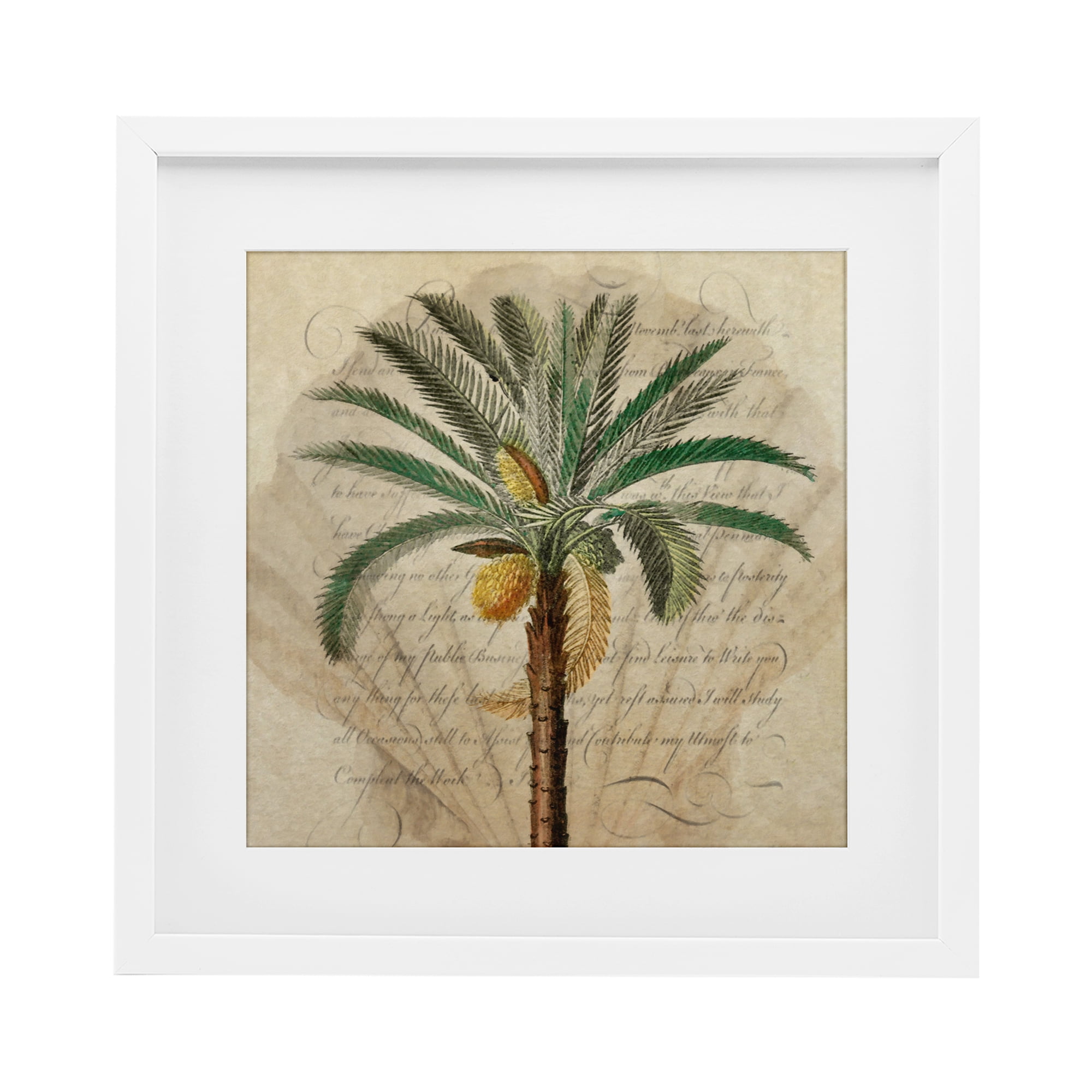 Stupell Industries Vintage Subdued Palm White Framed Print Under Glass, design by Steve Hunziker
