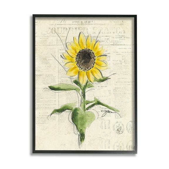 Stupell Industries Vintage Sunflower Painting Botanical & Floral Painting Black Framed Art Print Wall Art, 11 x 14