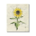 thumbnail image 1 of Stupell Industries Vintage Sunflower Painting Botanical & Floral Painting Gallery Wrapped Canvas Art Print Wall Art, 30 x 40, 1 of 8