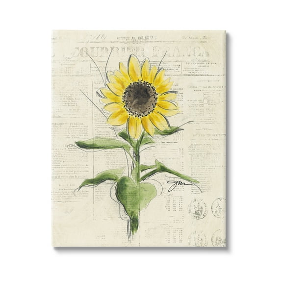 Stupell Industries Vintage Sunflower Painting Botanical & Floral Painting Gallery Wrapped Canvas Art Print Wall Art, 30 x 40