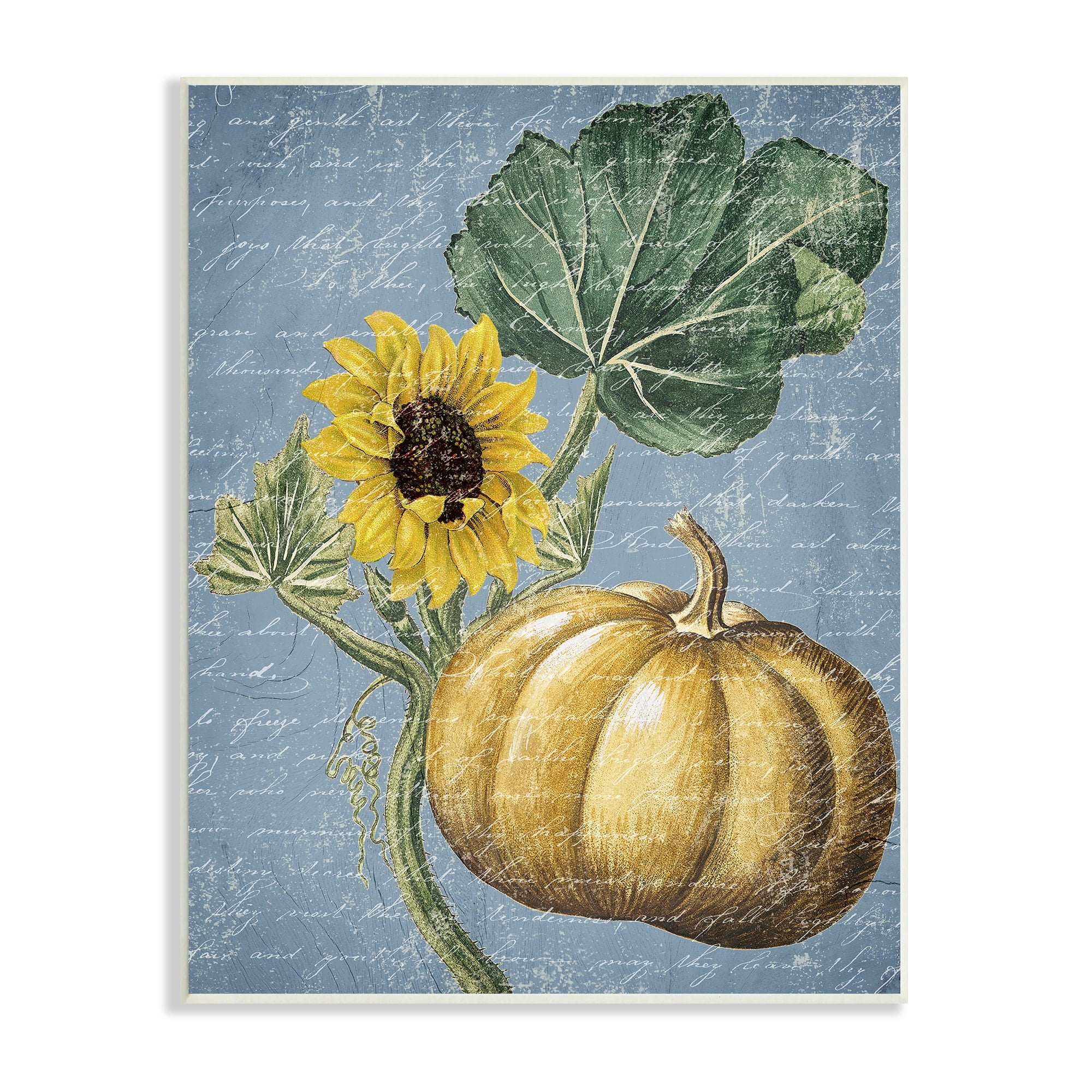 Stupell Industries Vintage Sunflower Stalk Farm Pumpkin Antique Script, 13 x 19,Design by Daphne Polselli