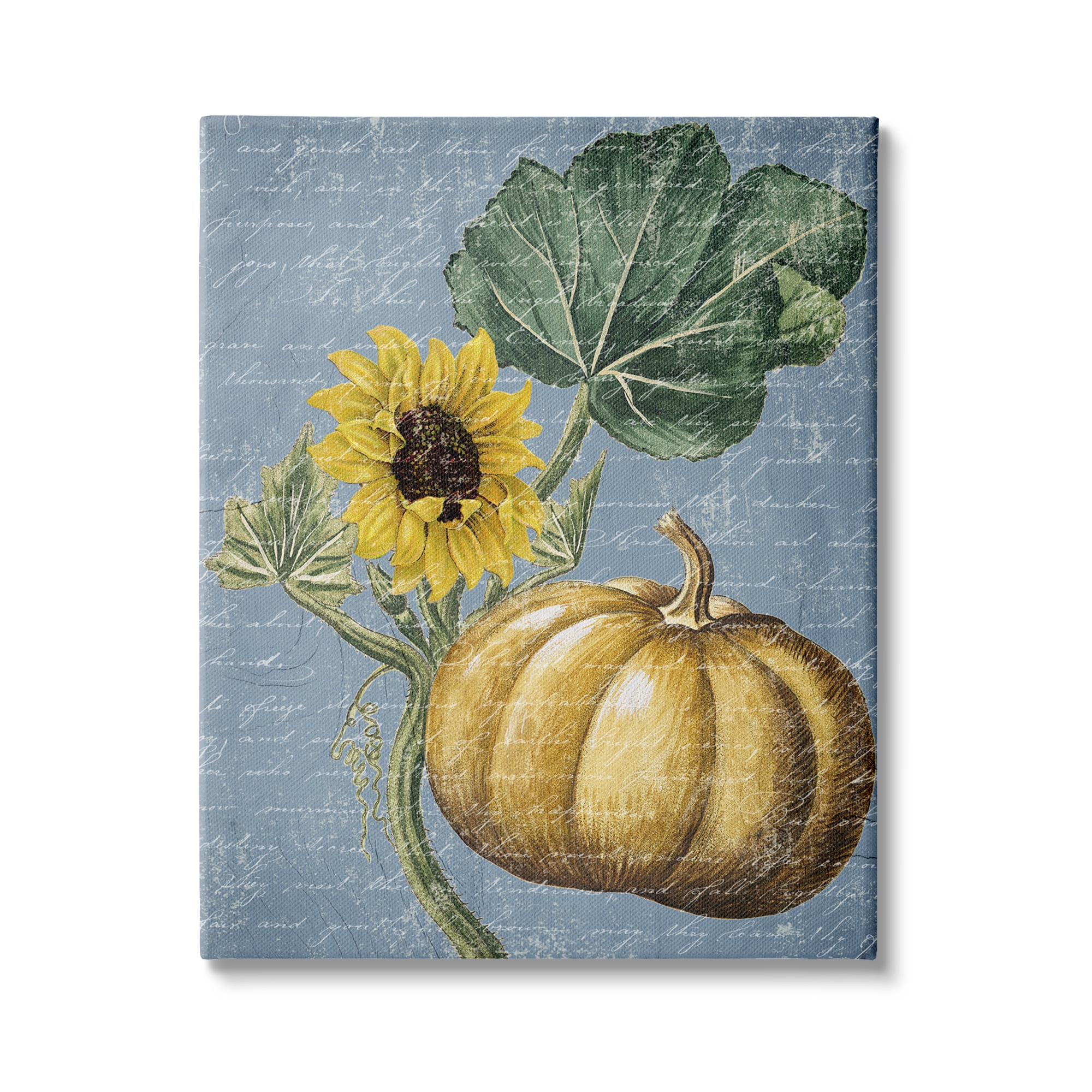 Stupell Industries Vintage Sunflower Stalk Farm Pumpkin Antique Script, 36 x 48,Design by Daphne Polselli