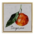 thumbnail image 1 of Stupell Industries Vintage Tangerine Fruit Food & Beverage Painting Gold Floater Framed Canvas Art Print Wall Art, 18 x 18, 1 of 10