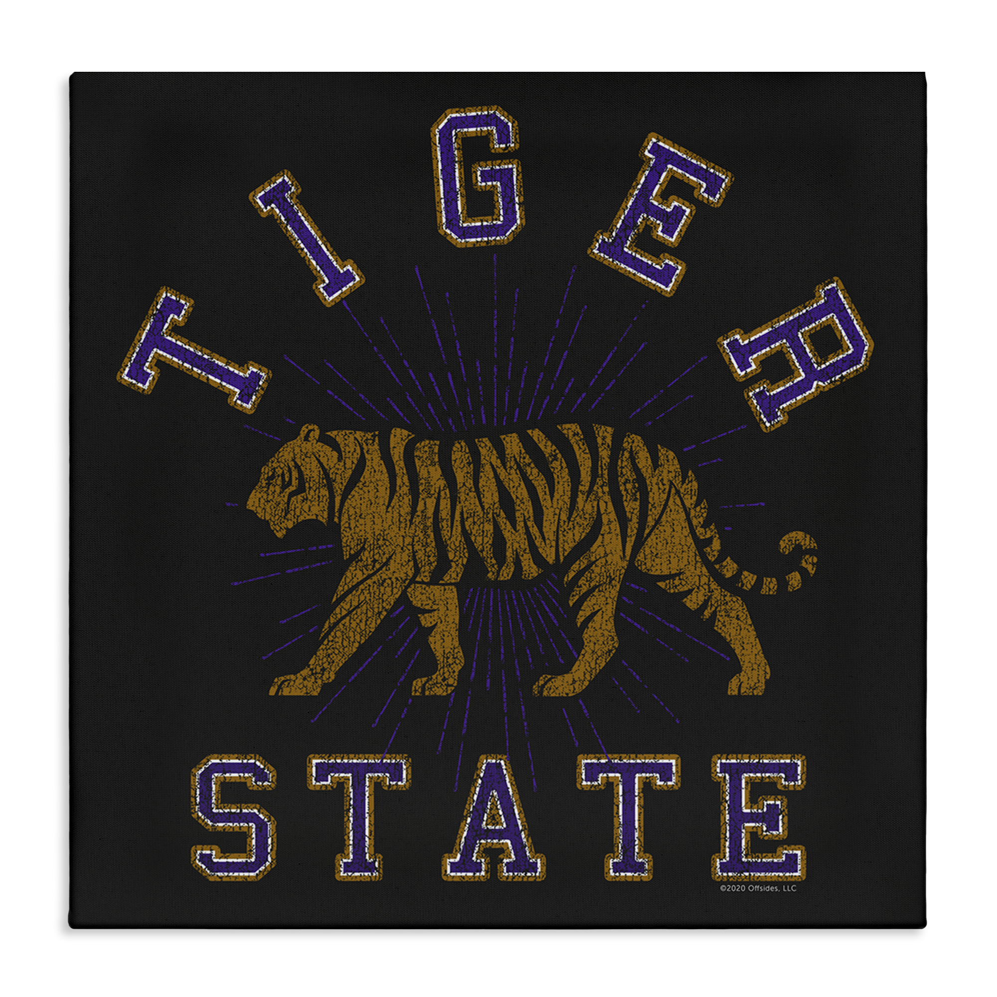 Stupell Industries Vintage Tiger State Novelty & Humor Painting Wrapped Canvas Art Print Wall Art, 30 x 30
