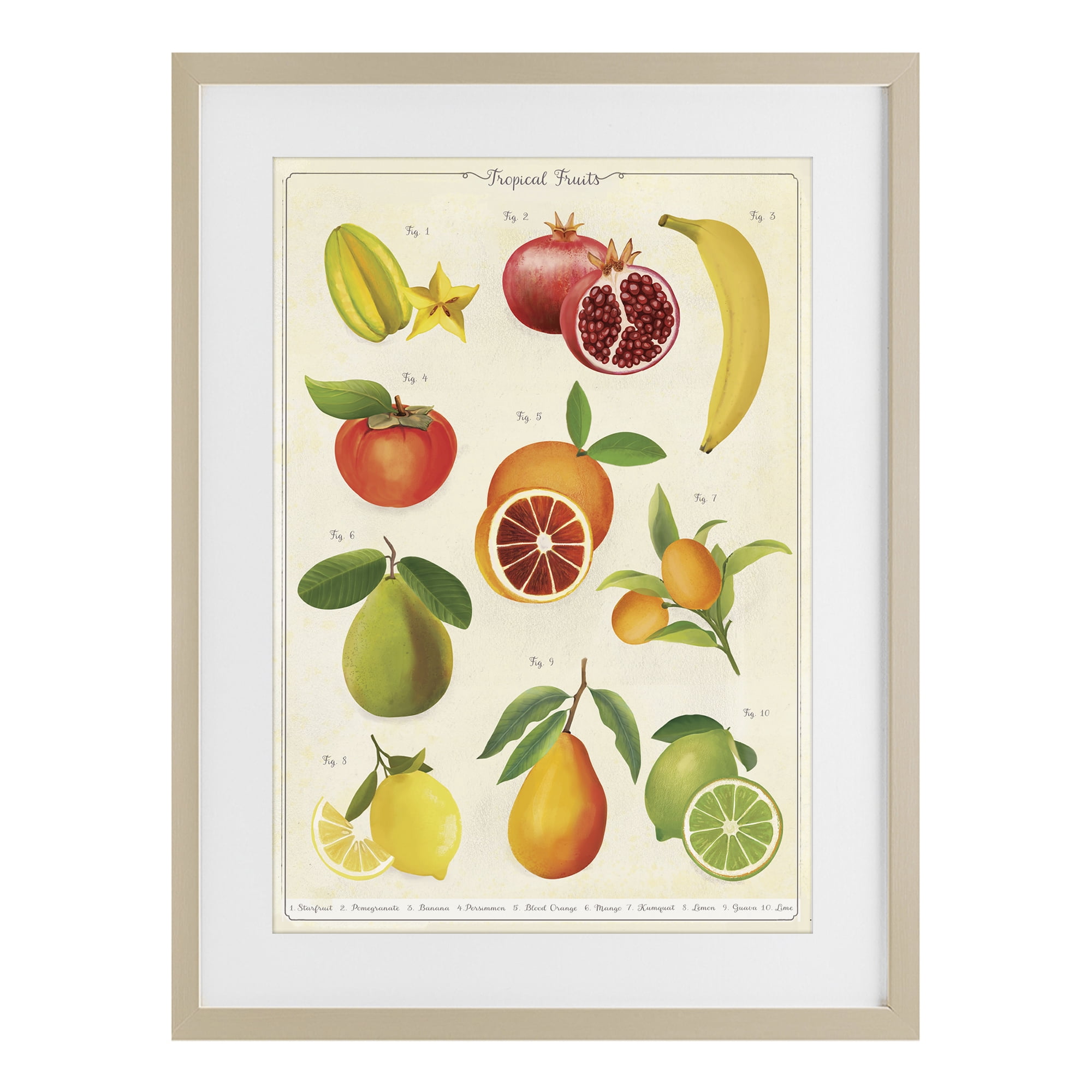 Stupell Industries Vintage Tropical Fruit Studies Birch Framed Print Under Glass, design by Diane Neukirch