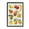 thumbnail image 1 of Stupell Industries Victorian Vintage Tropical Fruit Studies Black Floating Frame Canvas Art, 17 x 25, by Diane Neukirch, 1 of 8