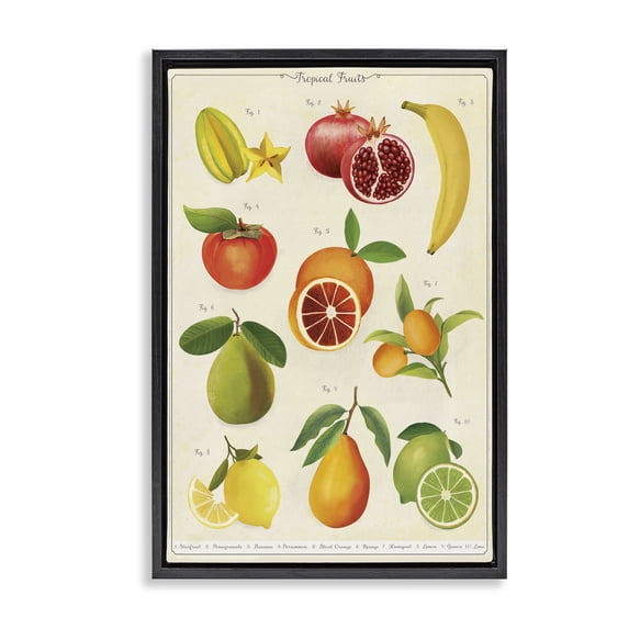 Stupell Industries Victorian Vintage Tropical Fruit Studies Black Floating Frame Canvas Art, 17 x 25, by Diane Neukirch