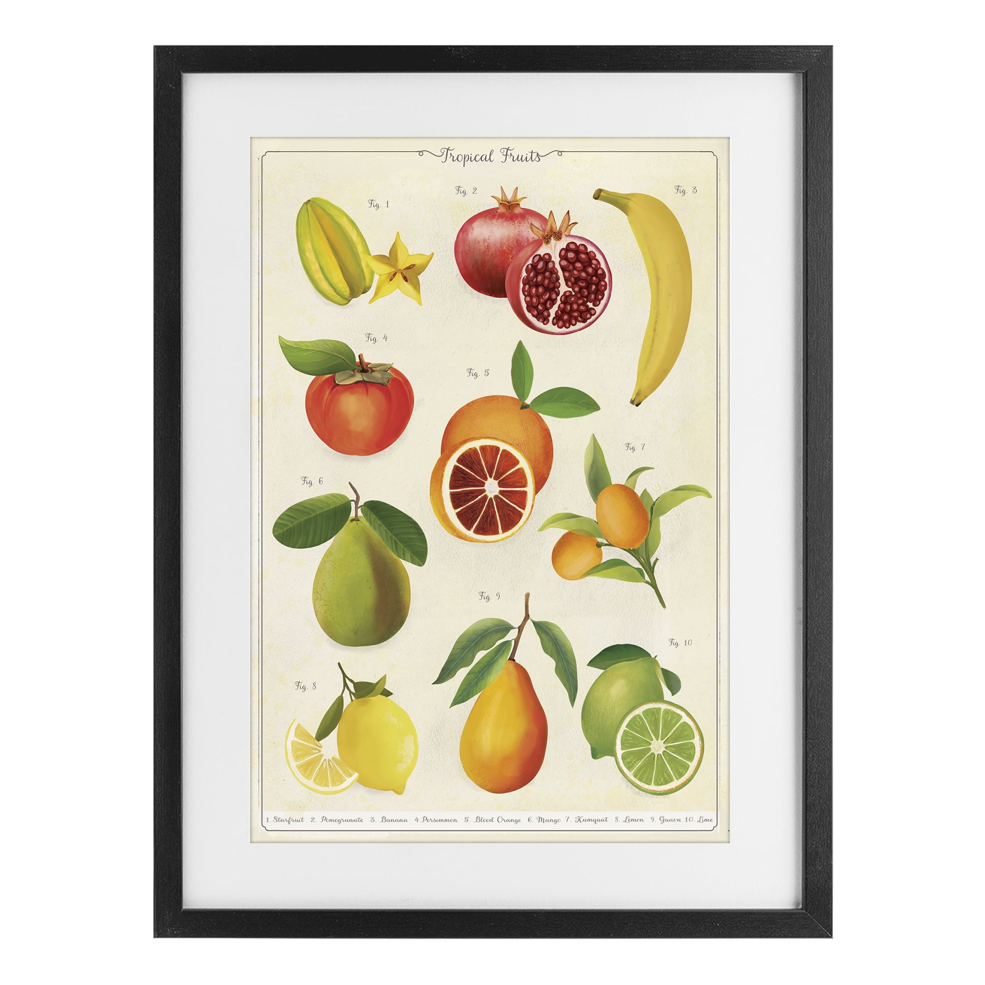 Stupell Industries Vintage Tropical Fruit Studies Black Framed Print Under Glass, design by Diane Neukirch