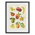 thumbnail image 1 of Stupell Industries Victorian Vintage Tropical Fruit Studies Black Framed Print Under Glass, 14 x 20, by Diane Neukirch, 1 of 8