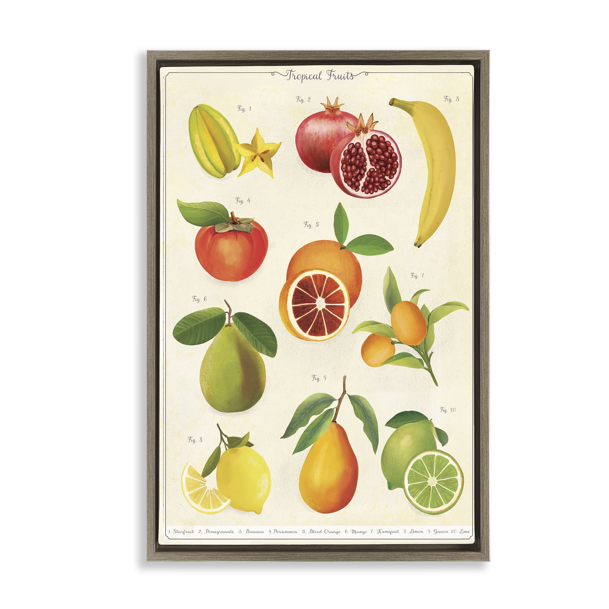 Stupell Industries Vintage Tropical Fruit Studies Brown Framed Floater Canvas Wall Art, design by Diane Neukirch