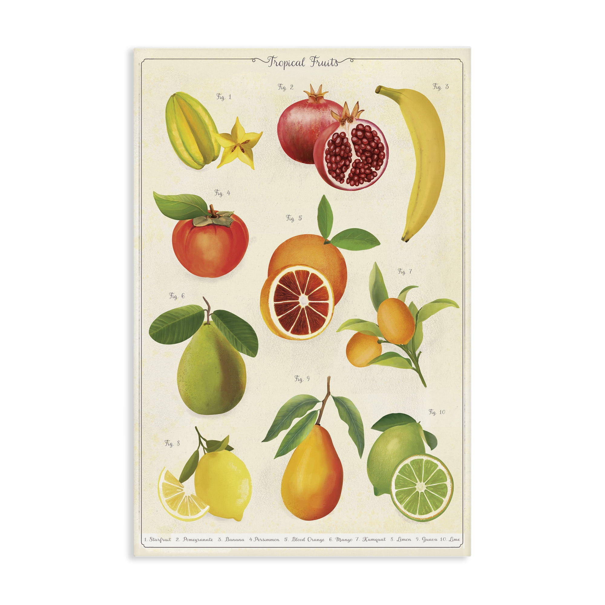 Stupell Industries Vintage Tropical Fruit Studies Canvas Wall Art, design by Diane Neukirch