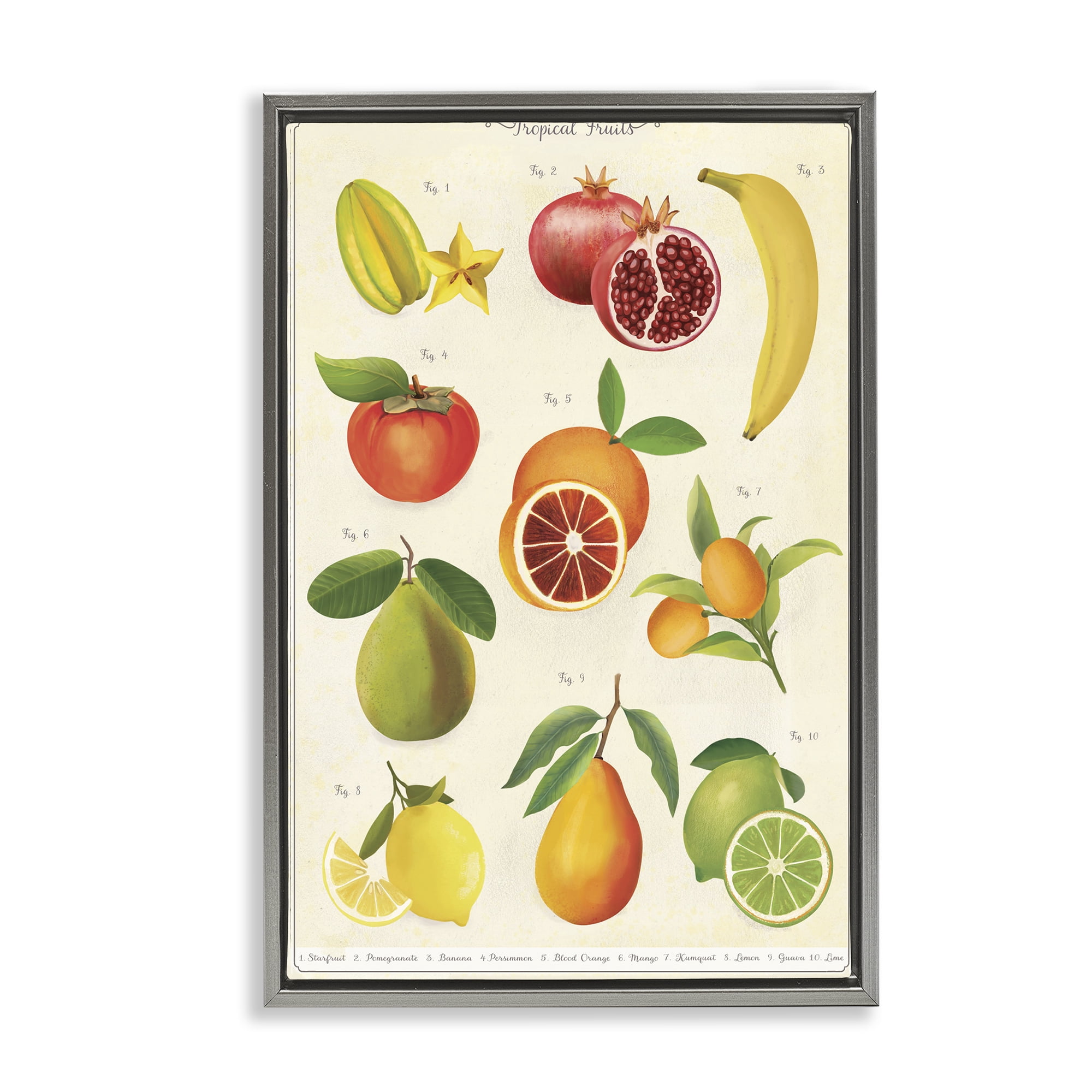 Stupell Industries Vintage Tropical Fruit Studies Gray Framed Floater Canvas Wall Art, design by Diane Neukirch