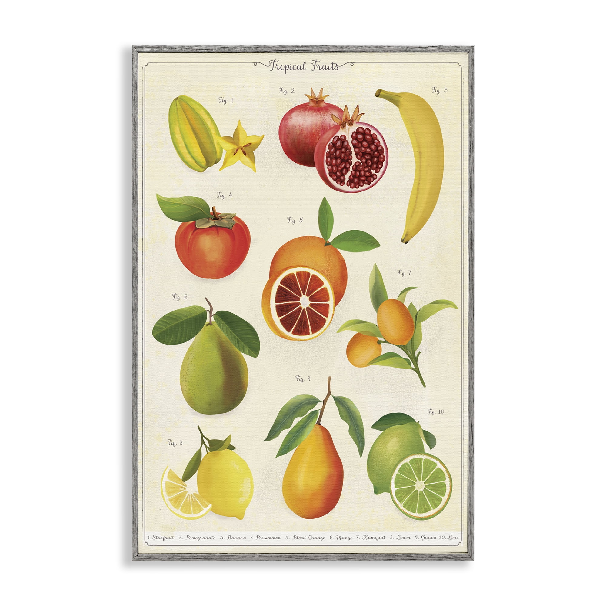 Stupell Industries Vintage Tropical Fruit Studies Gray Framed Giclee Art, design by Diane Neukirch