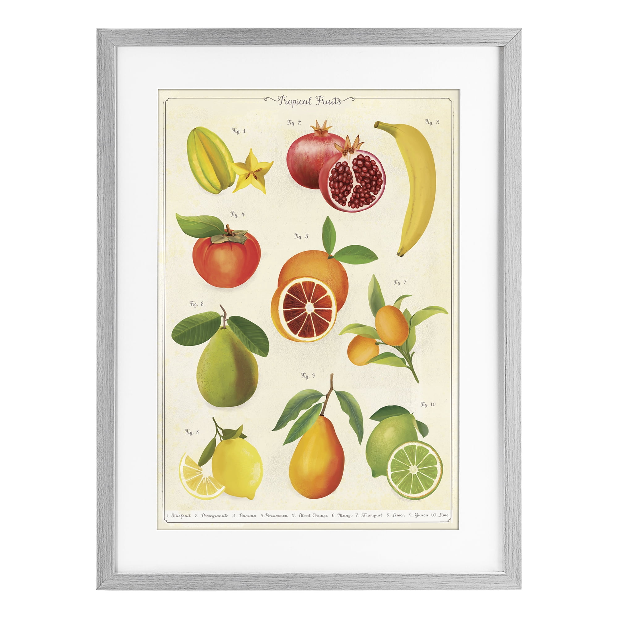 Stupell Industries Vintage Tropical Fruit Studies Gray Framed Print Under Glass, design by Diane Neukirch