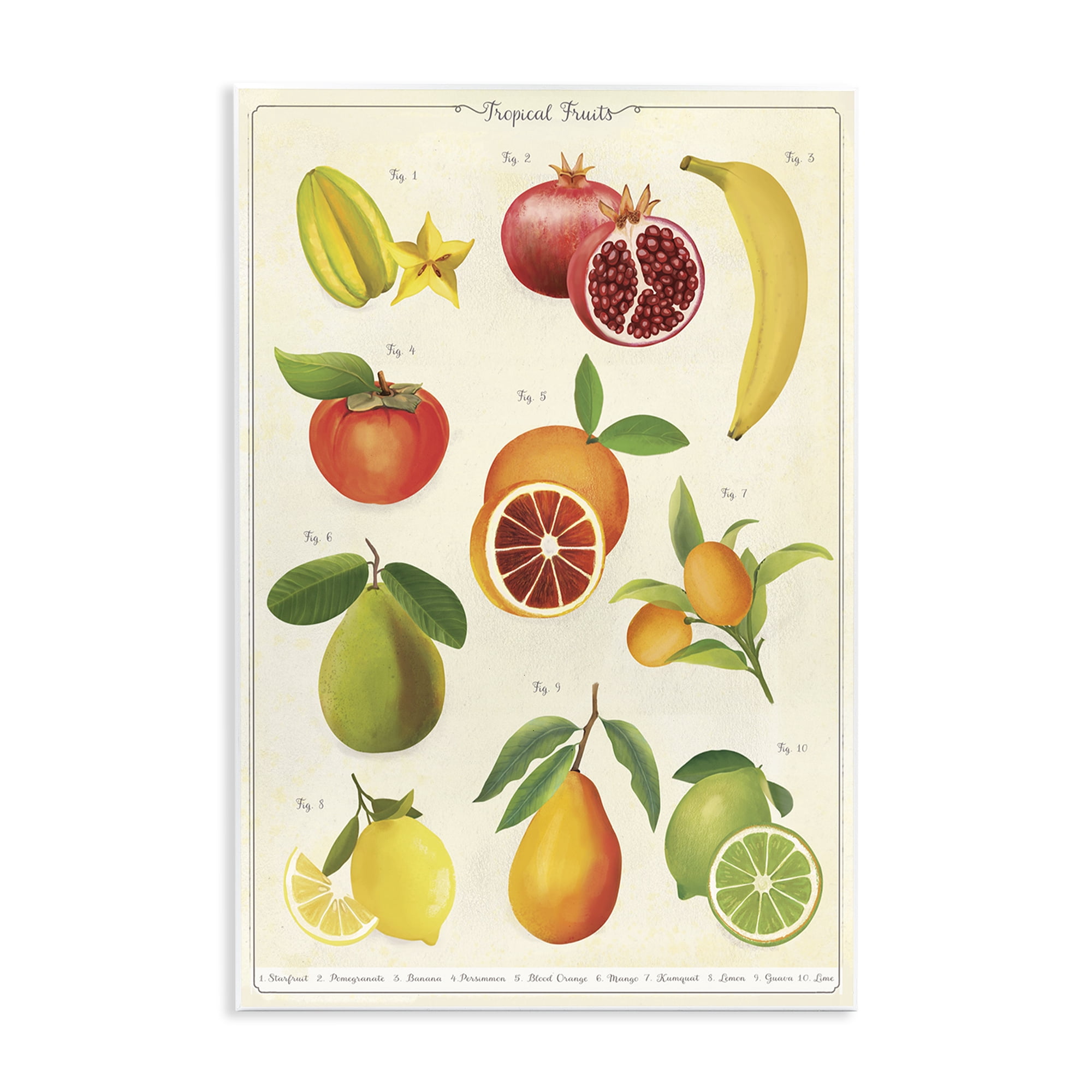 Stupell Industries Vintage Tropical Fruit Studies Wall Plaque Art, design by Diane Neukirch