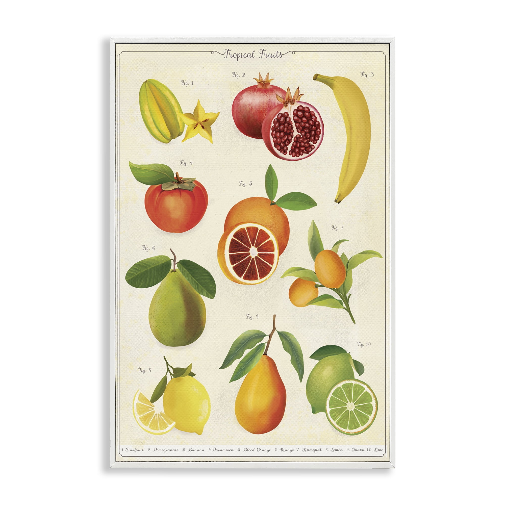 Stupell Industries Vintage Tropical Fruit Studies White Framed Giclee Art, design by Diane Neukirch
