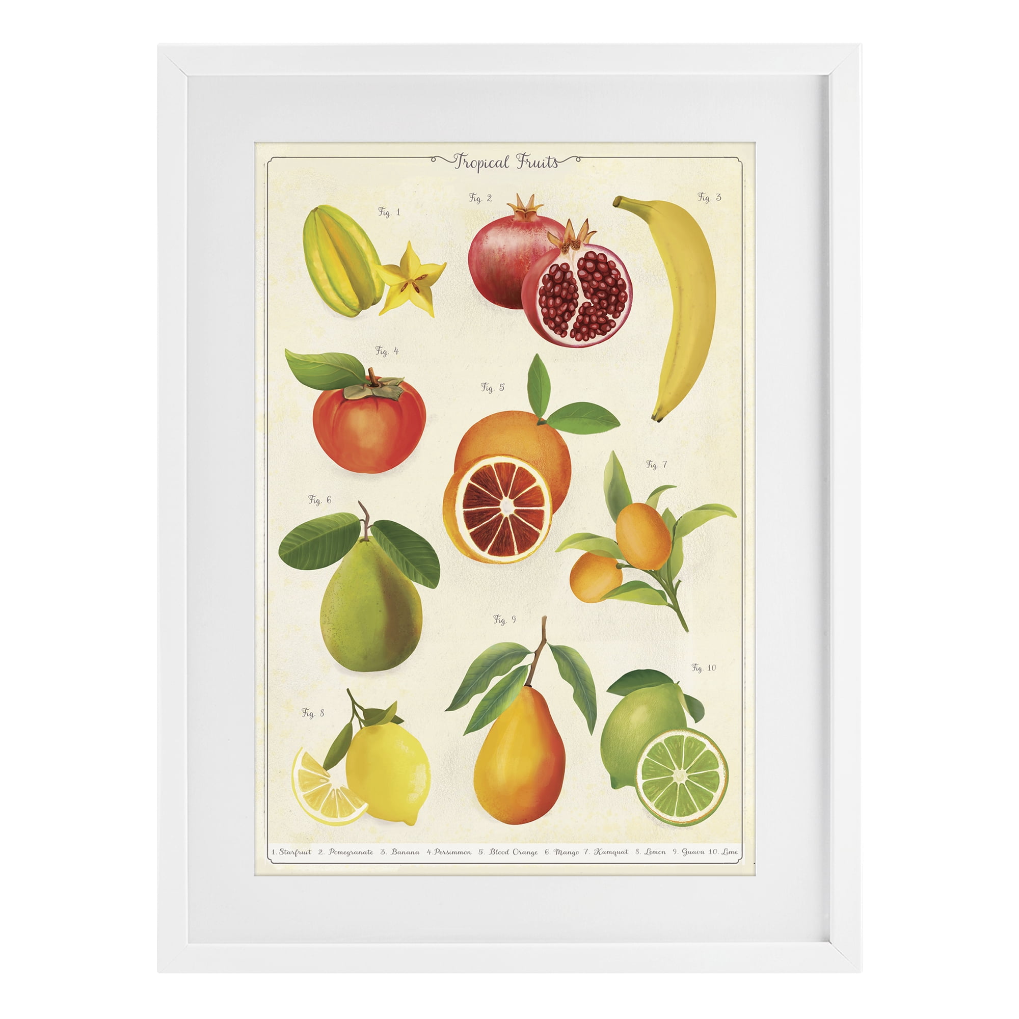Stupell Industries Vintage Tropical Fruit Studies White Framed Print Under Glass, design by Diane Neukirch