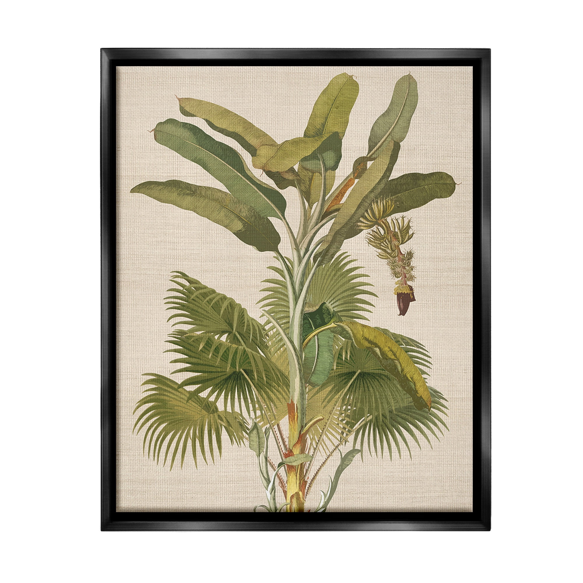 Stupell Industries Vintage Tropical Plant Botanical & Floral Painting Black Floater Framed Canvas Art Print Wall Art, 17 x 21