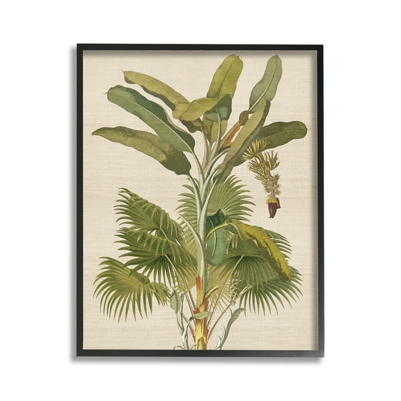 Stupell Industries Vintage Tropical Plant Botanical & Floral Painting Black Framed Art Print Wall Art, 11 x 14