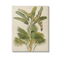 Stupell Industries Vintage Tropical Plant Botanical & Floral Painting Gallery Wrapped Canvas Art Print Wall Art, 16 x 20
