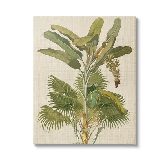 Stupell Industries Vintage Tropical Plant Botanical & Floral Painting Gallery Wrapped Canvas Art Print Wall Art, 36 x 48