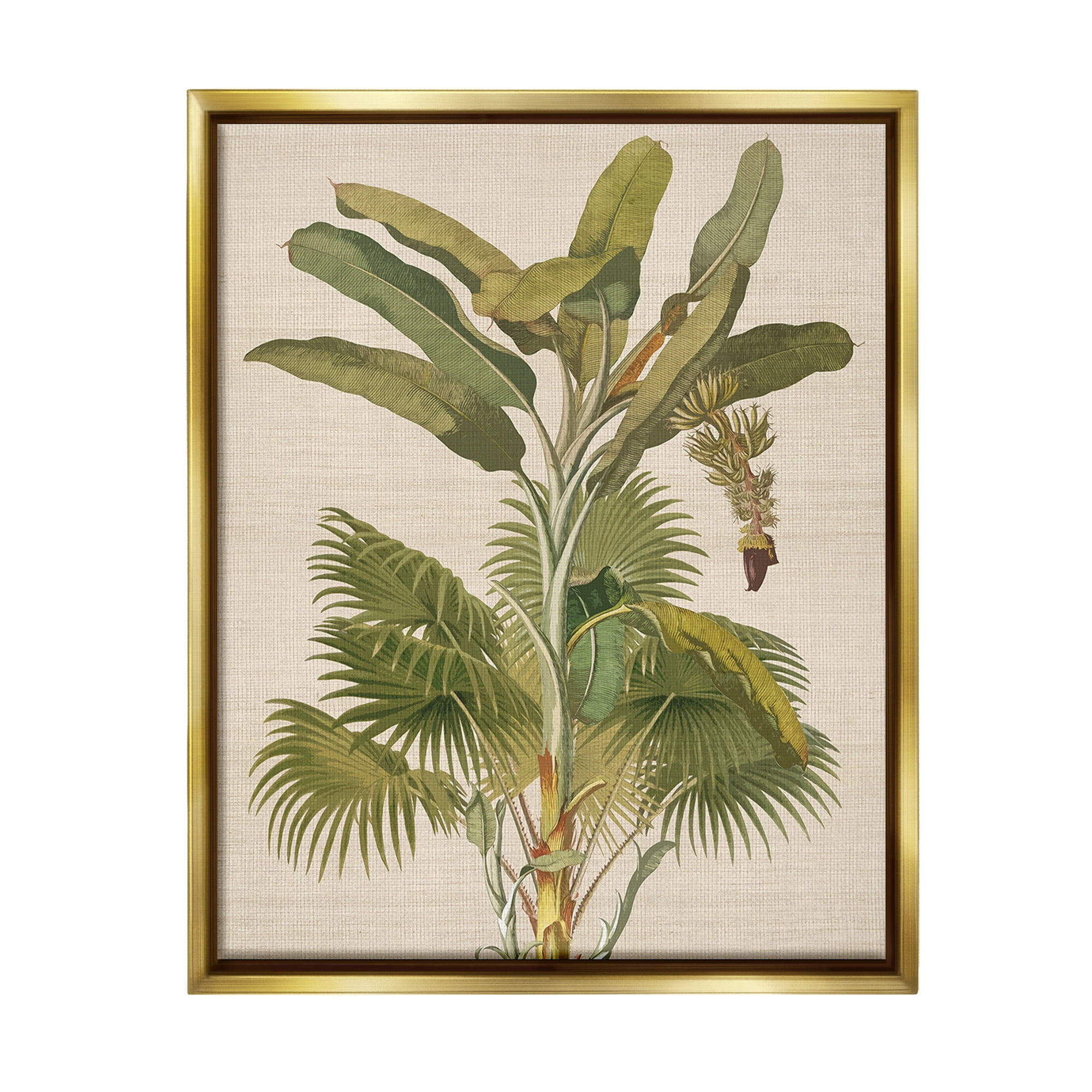 Stupell Industries Vintage Tropical Plant Botanical & Floral Painting Gold Floater Framed Canvas Art Print Wall Art, 17 x 21