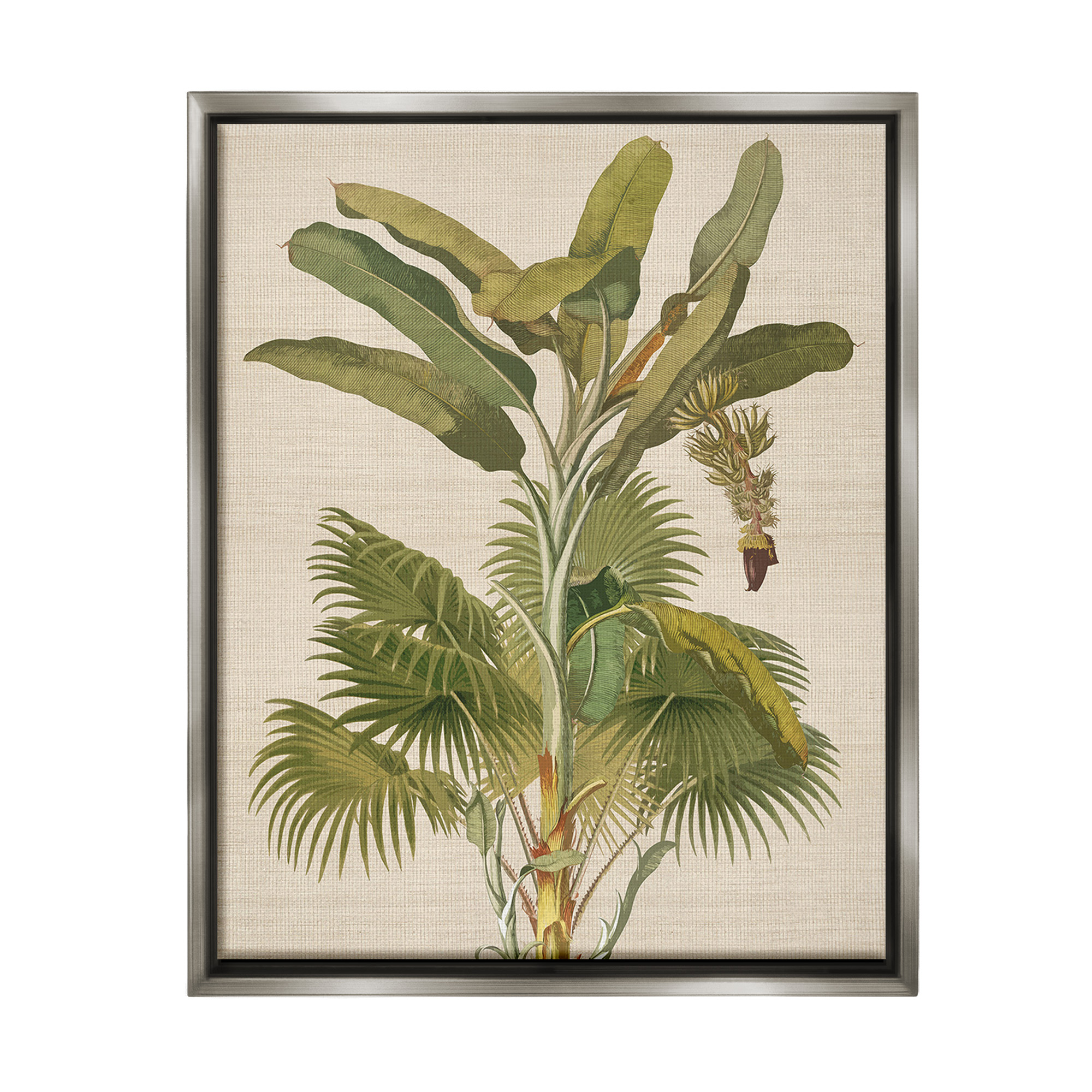 Stupell Industries Vintage Tropical Plant Botanical & Floral Painting Gray Floater Framed Canvas Art Print Wall Art, 25 x 31