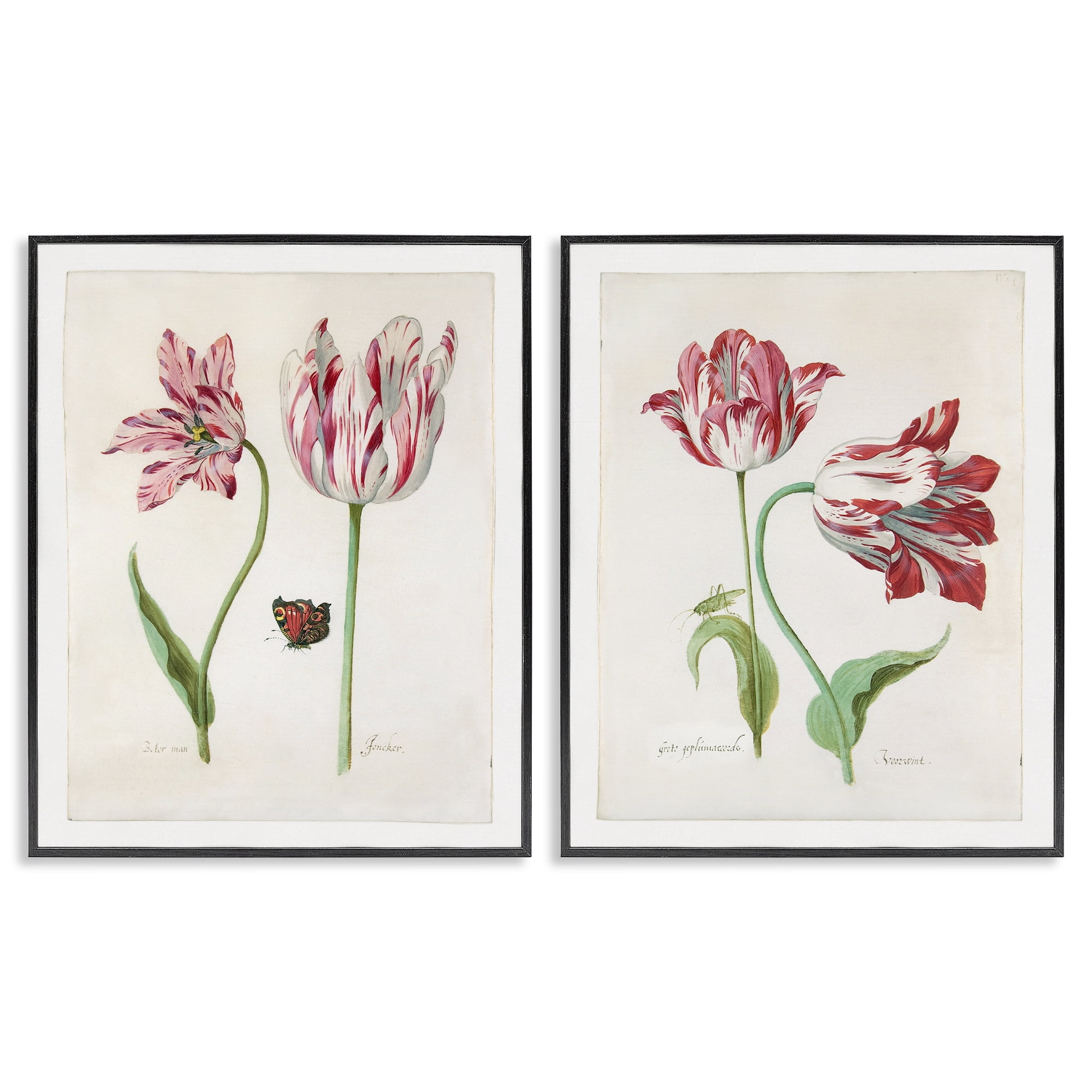 Stupell Industries Vintage Tulip & Insect Studies Floral & Botanical Painting Black Framed Art Print Wall Art, 24 x 30, Set of 2