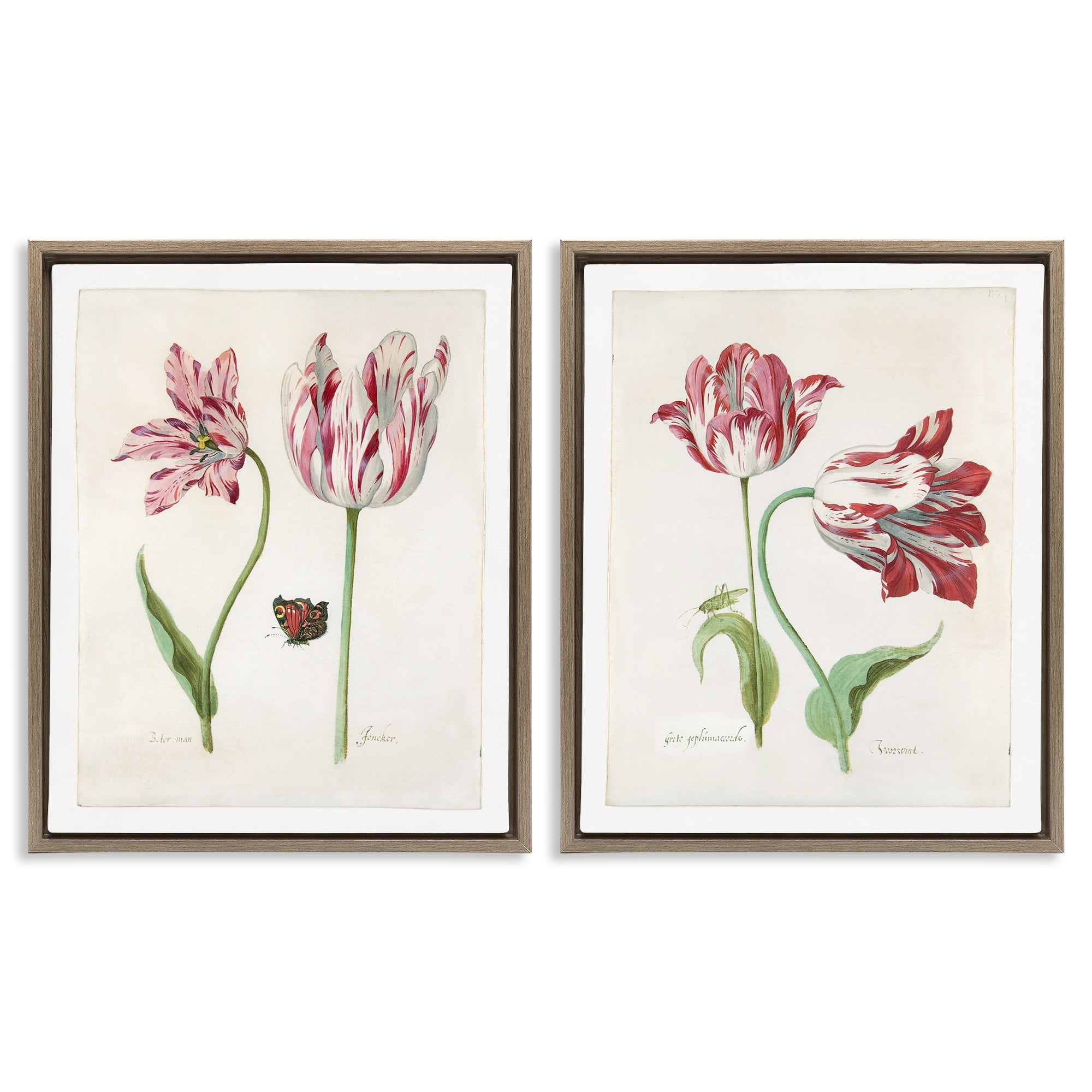 Stupell Industries Vintage Tulip & Insect Studies Floral & Botanical Painting Brown Floater Framed Canvas Art Print Wall Art, 17 x 21, Set of 2