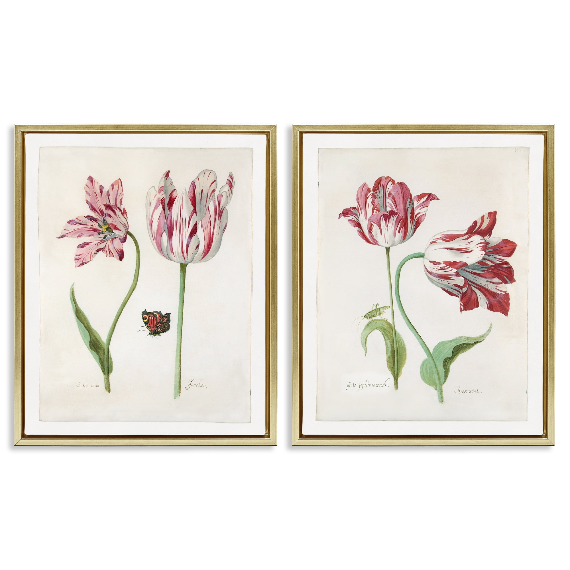 Stupell Industries Vintage Tulip & Insect Studies Floral & Botanical Painting Gold Floater Framed Canvas Art Print Wall Art, 17 x 21, Set of 2