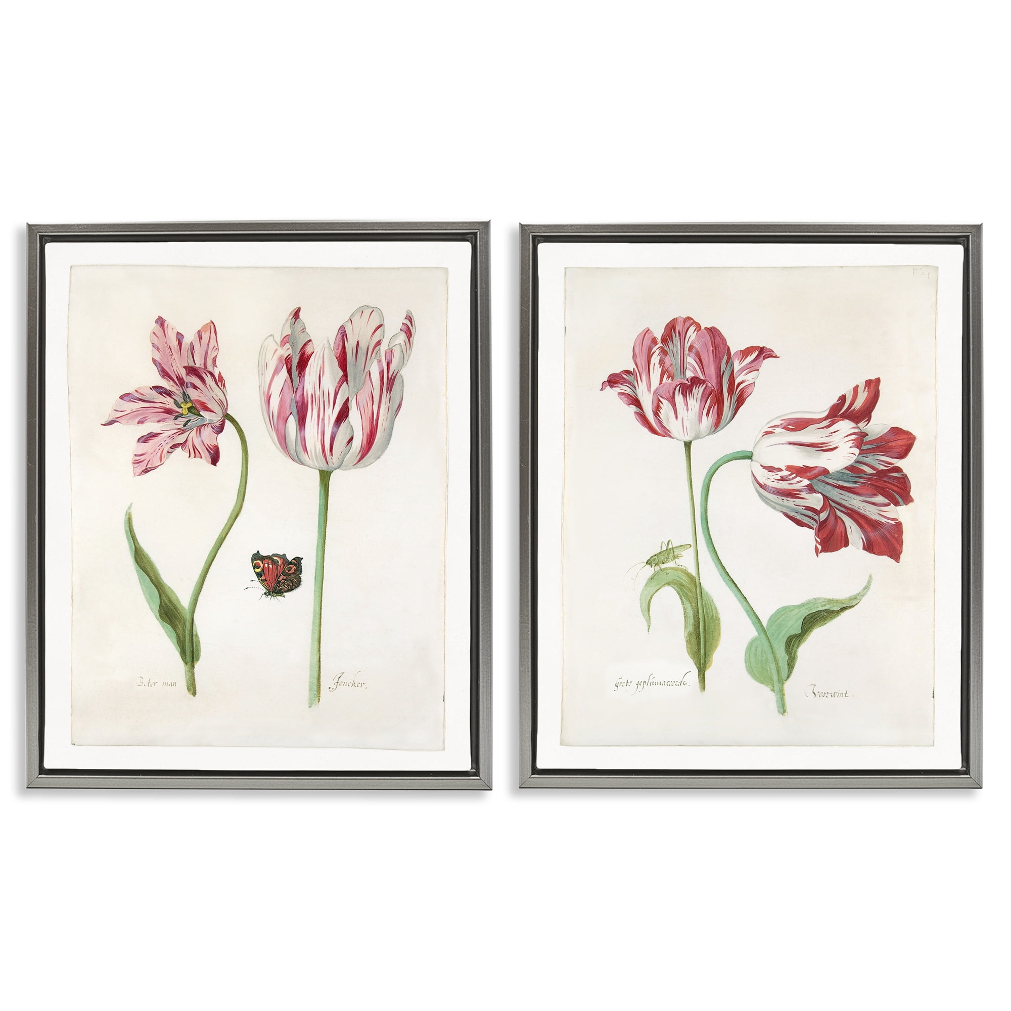 Stupell Industries Vintage Tulip & Insect Studies Floral & Botanical Painting Gray Floater Framed Canvas Art Print Wall Art, 17 x 21, Set of 2